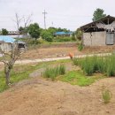 덕지보건진료소 이미지