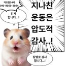 지오열쇠 | 양곡 헬스장| 홧병에는 쇠질이 답? 화가 날 때 운동하면 진짜 풀릴까