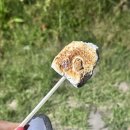 들꽃연가 | 고창 촌캉스 독채숙소, 들꽃연가 후기🌻