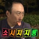 에그셀런트 이미지