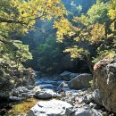 사단법인 나들목 | 경북 울진 신선계곡, '절대고요’ 속 비경(秘境)