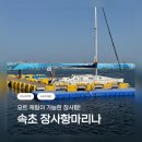 🛥️ 속초 요트 체험 / 장사항마리나