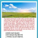 오늘의 양식