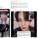 영타코 이미지
