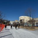 휘닉스 스노우파크 이미지