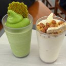 제주 오설록 티 뮤지엄 내돈내산 후기ㅣ제주도 볼거리ㅣ제주여행