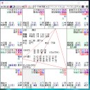 자미두수, 을미년에 배우자와 이혼~ 이미지