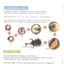 리틀어린이집 이미지