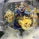 공원옆동물의료센터 이미지