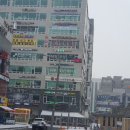 폴리프라자2 이미지