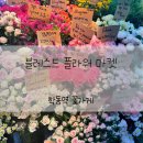 학동역 꽃집 블레스드 플라워 마켓 꽃종류 후기
