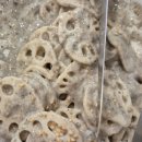 명륜진사갈비오산원동점 이미지