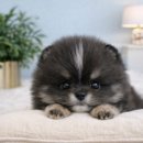 창녕동물병원 이미지