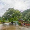 분동경로당 이미지