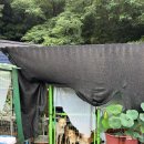 견공 | 경남 사천 유기견,유기묘 봉사활동 후기 부산 유기견 보호단체 멍자봉에서 스님이 돌보는 견공 선원...