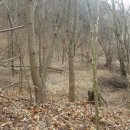 해성공인중개사사무소 이미지