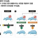 장내균총과 건강 &lt;3&gt; 장내균총 불균형과 질병-비만, 정신질환, 치매
