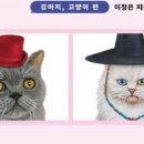 아인출판