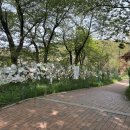 지석리(망향대 주차장) 이미지