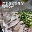 통영회종합수산 | 안양 종합운동장 회 맛집 매곡수산 배달 후기
