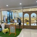 샌드포레스트 이미지