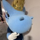 단디 Daum카페