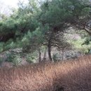 성화지역아동센터 이미지