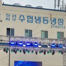 진동미더덕 Daum카페