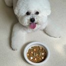 (주)헬로마이펫 | 다이소 추천템, 강아지 밥꾸 아르르 동결건조 간식 및 강아지 용품 추천 다이소 홈플러스상봉점