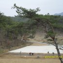 로사의집 이미지