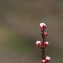 광의초교 이미지