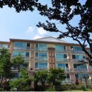 분당-334 이미지