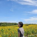 MIRA펜션 이미지