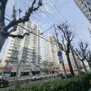 버스정류소_염창동아3차아파트.나이아가라호텔 | 임장 후기: 염창동 대장아파트?(염창동아3차)