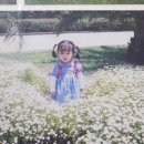 육사시미 콘서트 1 | 장기휴가 1주차: 해피 벌쓰데이 해피 케이팝데이😄💕