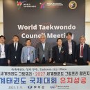 세계태권도 이미지