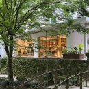 내서읍441 | 창원, 마산 내서 푸릇푸릇한 숲속 신상 북카페 : 세시라기