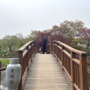 경충대로 2709번길 4 이미지