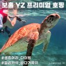 돌고래바나나노래연습장 | 보홀 호핑투어 추천 yz호핑 발리카삭 거북이부터 생츄어리 열대어까지!