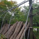 다덕파크 이미지