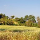 문수목장 이미지