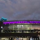 김민주 밥&전 | 감자에 싹이나서 잎이나서 감자감자 뿅