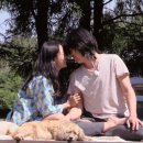 작은행복민박 이미지