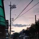 KANS 칸스 이미지