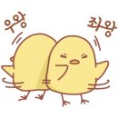 카페또오늘