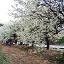 씨알농장 이미지