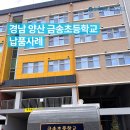 금송초등학교 이미지