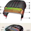미쉐린타이어 대전(주) 이미지