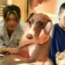 민호농장 이미지