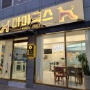 마마독스 애견호텔 이미지